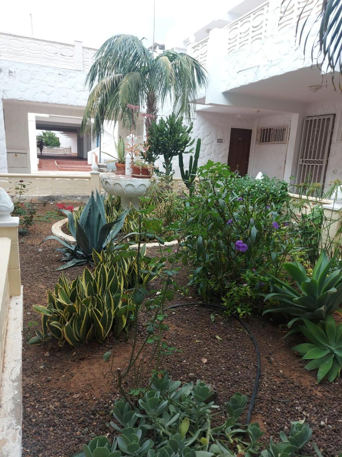 Casa Papagayo Apartment Arona  Luaran gambar